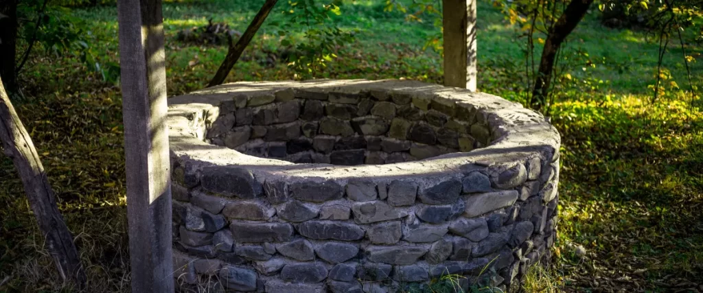 A traditional stone water well outdoors, surrounded by greenery (selected).